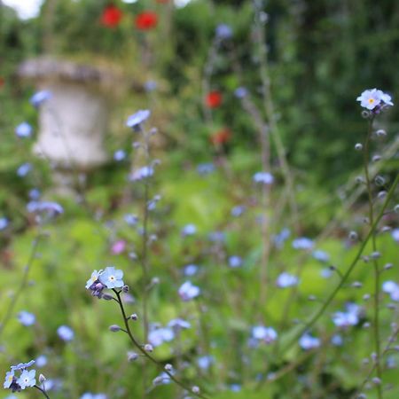 Le Gite Du Chene Rouvre Corbeil-Cerf Eksteriør bilde